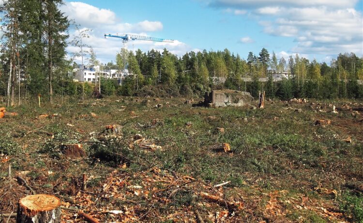 不要な土地の相続放棄は可能？注意点や相続財産管理人の役割も解説！